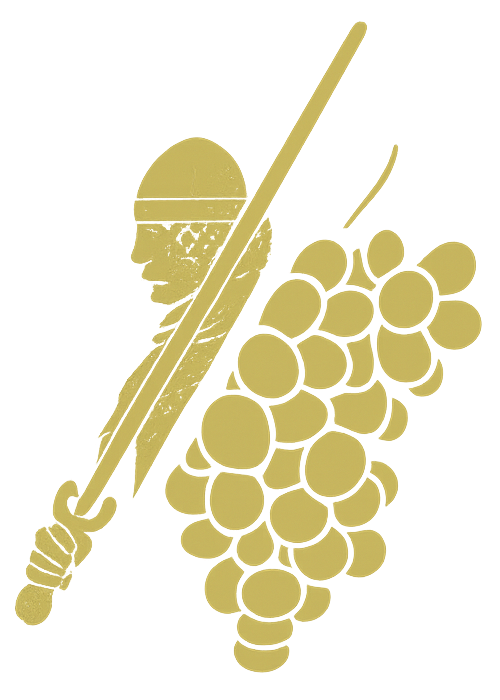 Logo Visage du Portugal